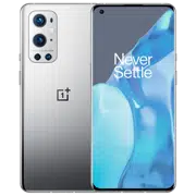 OnePlus 9 Pro LE2120 12/256Gb DS Silver